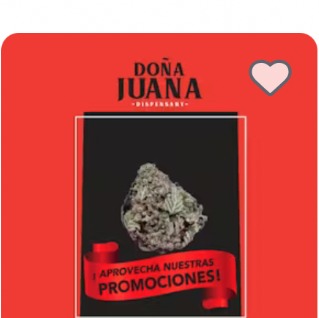 GLAZED CEMENT APRICOT